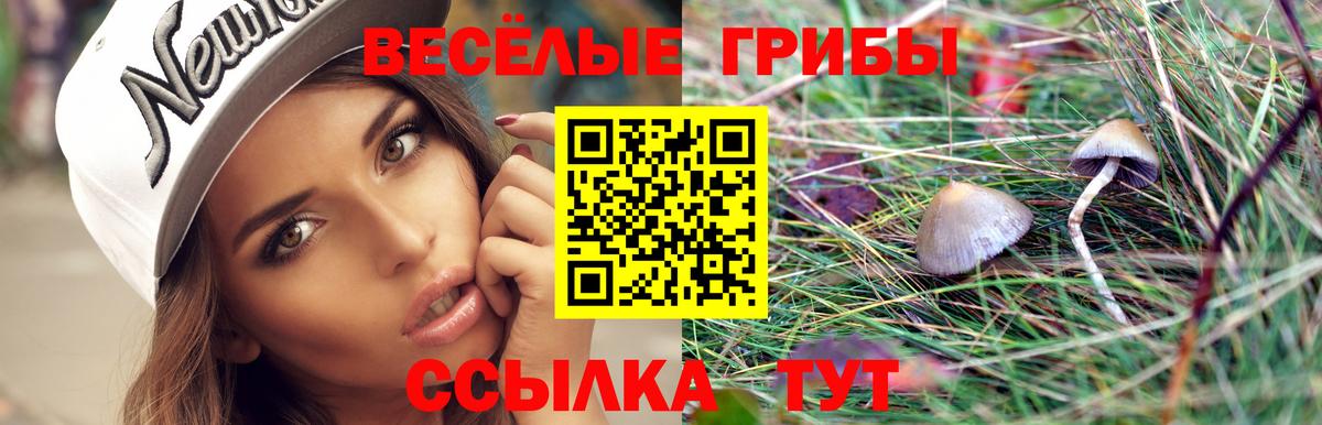 Реутов  Псилоцибиновые грибы прущие грибы  сколько стоит  Вход с VPN 